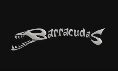 Лого студии, сделавшей мультфильм, показан в начале видео