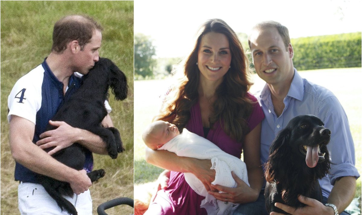 Kate Middleton and Princas Williamas, Kate Middleton, sūnus George'as bei šuo Lupo /Foto: vidapress, PA Wire