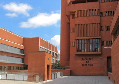 Barselonos universitetas