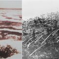 Sprogimas, kurio jėga 1000 kartų galingesnė nei bomba, numesta ant Hirošimos: prireikė 105 metų, kad sužinotume, kas nutiko Sibire