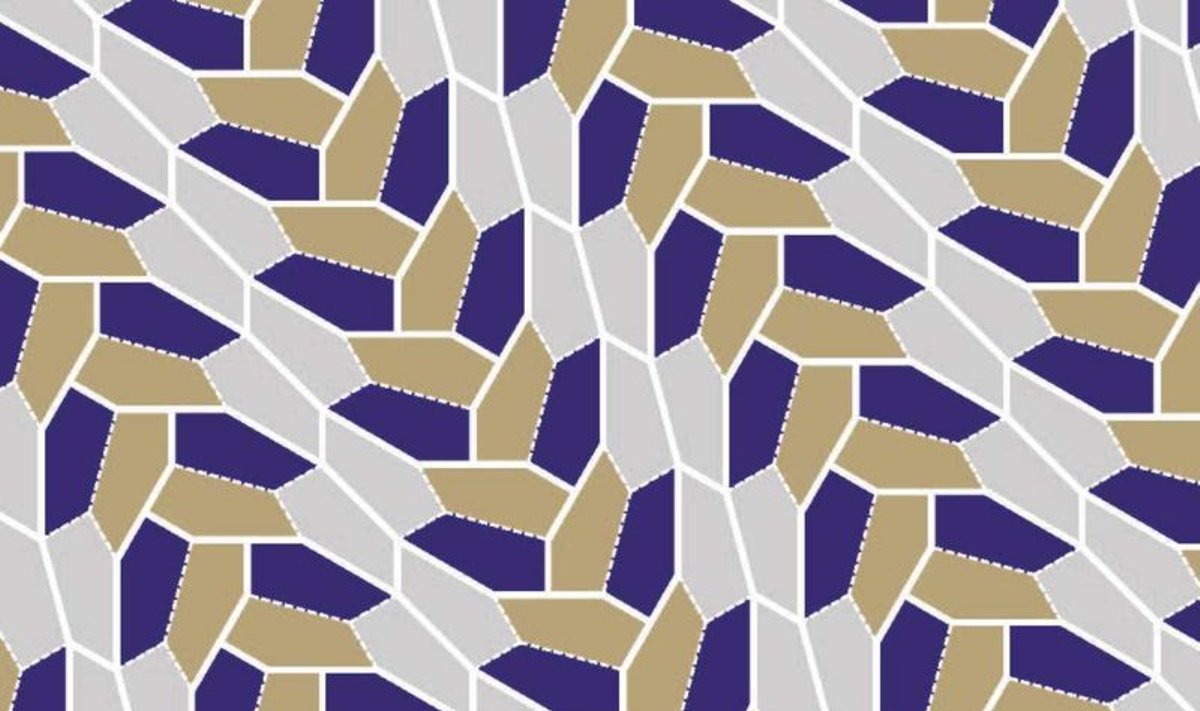 Penkioliktojo pgeometriškai idealaus penkiakampio mozaika (C. Manno iliustr.) 