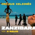 Orijaus kelionės. Populiariausias Zanzibaro kurortas: įspūdinga pakrantė ir keistos paplūdimio pramogos