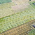 Lietuvos ūkininkai mato šansą: gali būti aukso laikai, bet ministerijos tyli