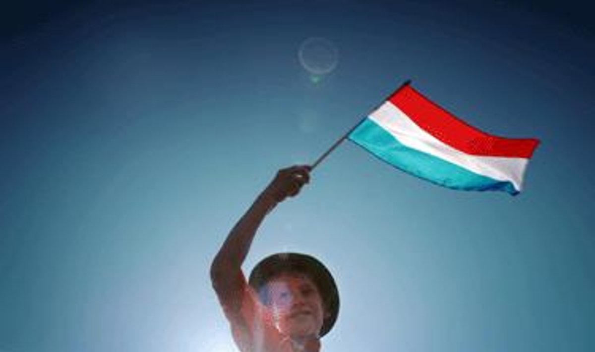 Vaikas, futbolo fanas, mojuoja Olandijos vėliava.