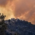 Su miškų gaisrais ugniagesiai kovoja ir Maroke