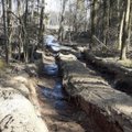 Už sunaikintą miško paklotę teks sumokėti rekordinę sumą: aplinkai padaryta žala siekia beveik 130 tūkst. eurų
