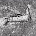 Loch Neso ežere povandeninis dronas aptiko monstrą, bet ne tą, kurio ieškojo