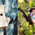 Paukščiai laukia namų (2): kaip pačiam pasigaminti inkilą?