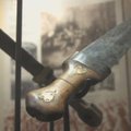 Didysis žygis 2012: 1863 metų sukilimo muziejus Paberžėje