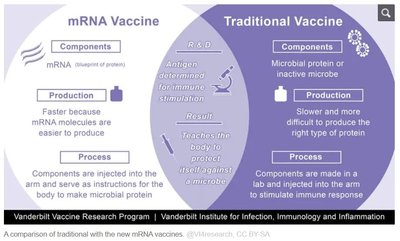 mRNR ir tradicinių vakcinų panašumai ir skirtumai