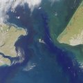 Kaip Žemės klimatą junginėja Beringo sąsiauris?