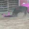 Peru koridoje bulius sužeidė meksikietę matadorę