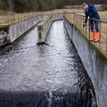 „Vilniaus vandenų“ nuotekų Neryje mėginiuose azoto ir fosforo koncentracija viršija normą