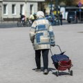 Navickienė pristatė vienišo asmens pensijas: šiemet gautų ne visi