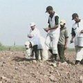 Pakistano kareivis pasiekė medelių sodinimo rekordą