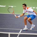 ATP varžybose Umage - favorito M.Čiličiaus pergalė