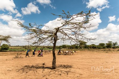 Kenija, Masajai