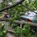 Сильный шторм в Москве и Подмосковье: один погибший, 17 пострадавших