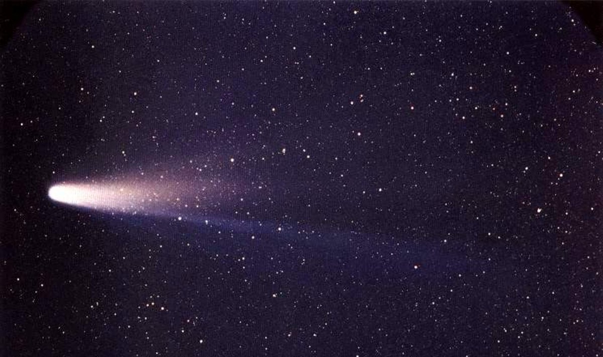 Halio kometa