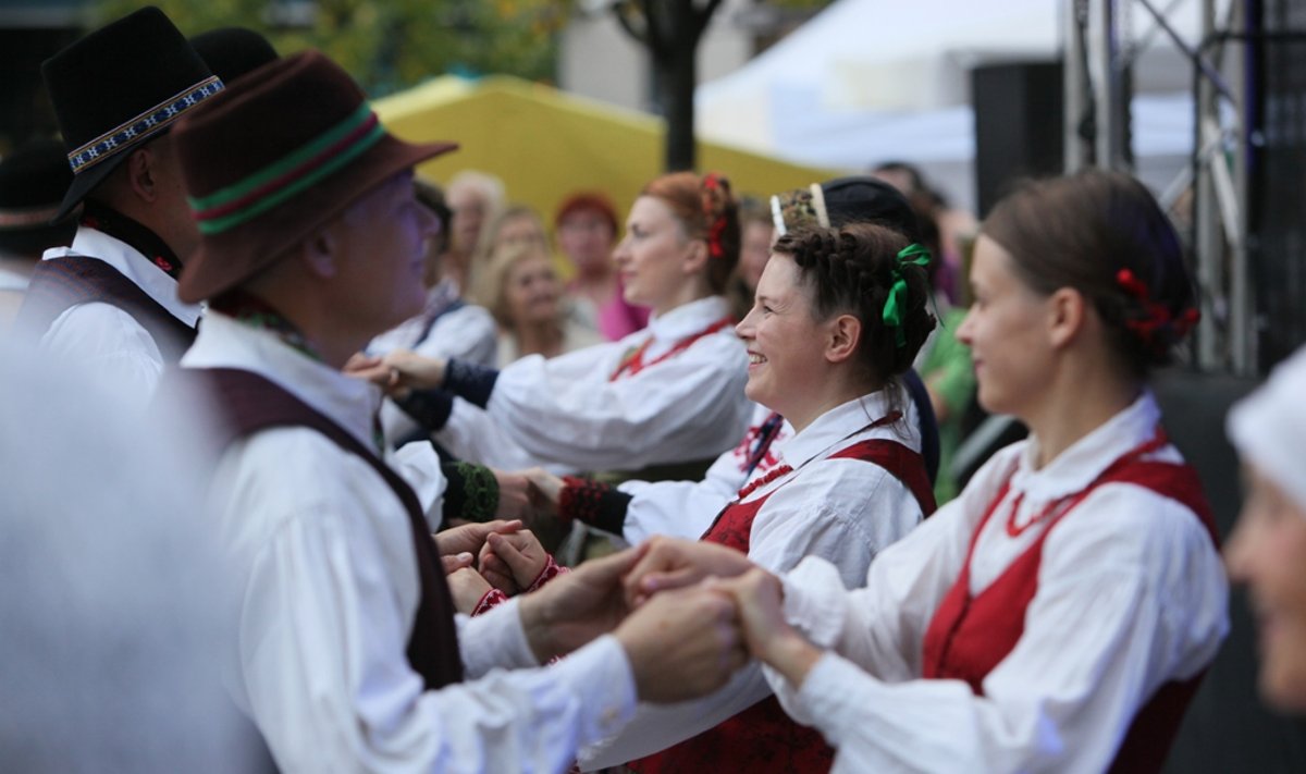 Studentų folkloro festivalis "O kieno žali sodai" (LLKC nuotr.)