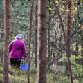Vertingiausios Lietuvos miškų vietos: grybautojai ir medkirčiai čia nepageidaujami