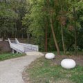 Vilkaviškio miesto sodas įgauna naują veidą: daugiau veiklų ir žalumos