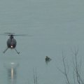 Nufilmuota elnės ir elniuku gelbėjimo nuo užšalusio ežero operacija