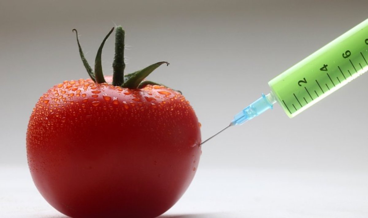 Lietuviai iš kitų šalių išsiskiria GMO baime 