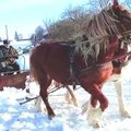 Atokiame kaime sniegą valo arkliais