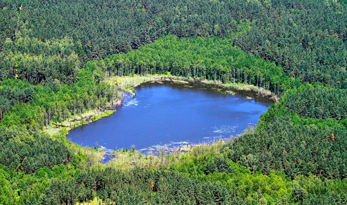 Lietuva ypač turtinga vandens ir miškų