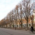 Kauno savivaldybė aiškinsis, kaip miesto centrą pritaikyti dviračiams