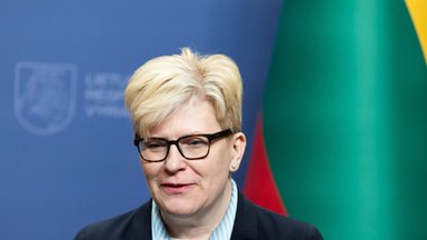 Šimonytė welcomes defmin’s proposal to prioritise air defence capabilities