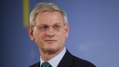 Carlas Bildtas. Putino aklavietė