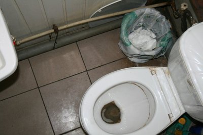 Kriauklė užkandinės tualete