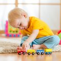 Vaikų psichologė apie žaidimus: kokių žaislų reikia skirtingo amžiaus vaikams