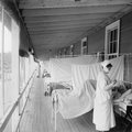 7 įdomūs faktai apie istorines pandemijas – baisioji cholera, draudimas mirti ir niekur nedingęs maras