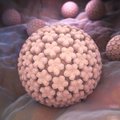 Patekęs į organizmą virusas po 10 metų gali sukelti vėžį: apsisaugoti padeda nemokamas tyrimas