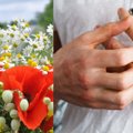 Žolinės – rizikinga šventė alergiškiems gyventojams: pasakė, kokie augalai gali rimtai pakenkti