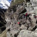 Gelbėtojai nukėlė šešias ožkas nuo stačios Alpių viršukalnės