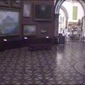Stebėjimo kameros užfiksavo Birmingamo muziejuje klaidžiojusį pimpačkiuką