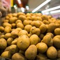 Savaitgalį „Iki“ pirkėjams bus siūlomos pirmos lietuviškos bulvės
