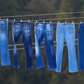 Kaip dažnai reikia skalbti džinsus?