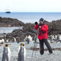 Pingvinams mokslininkai kenkia tiek pat, kiek ir turizmas