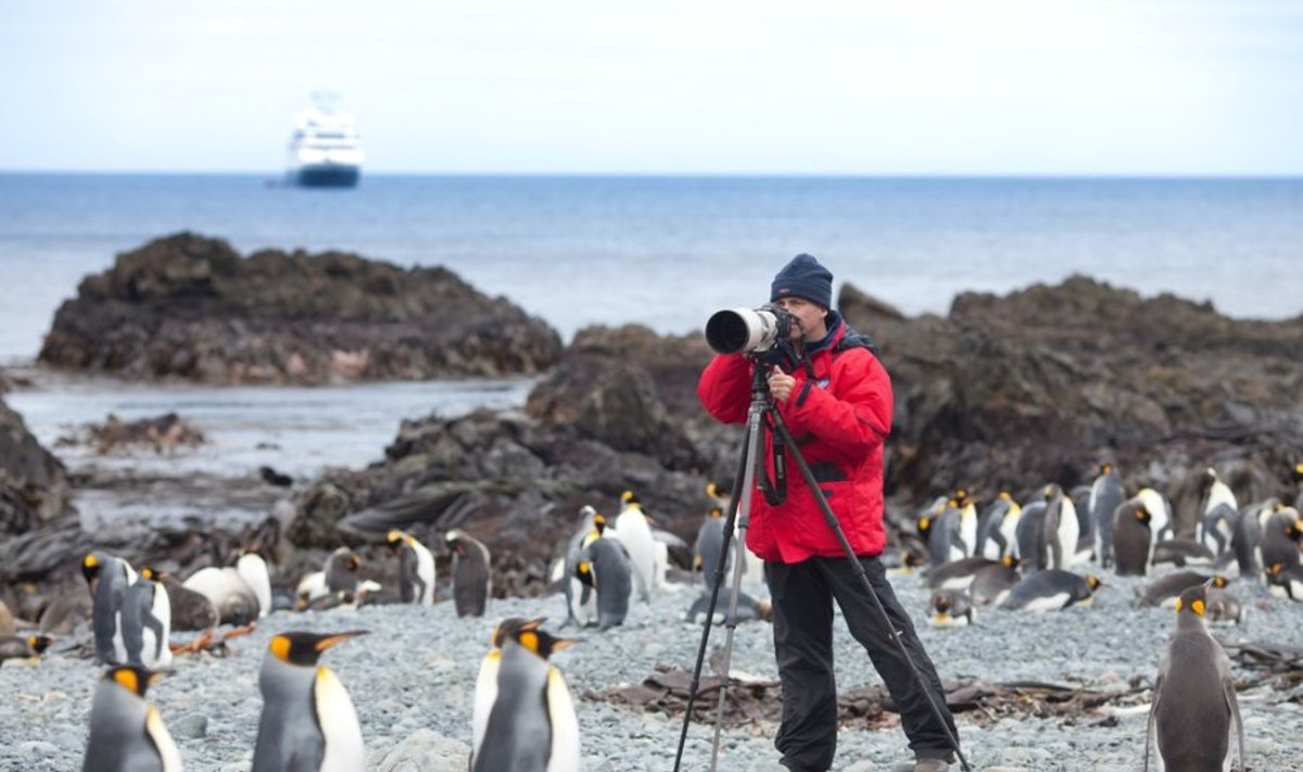 Smalsuoliai ir fotografai pingvinus veikia neigiamai