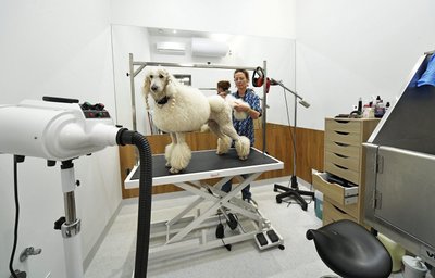 Vilniuje atidarytas didžiausias šalyje gyvūnų gydymo ir sveikatinimo kompleksas