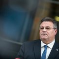 Глава МИД Литвы призывает коллег по НАТО уделять больше внимания Украине, Грузии