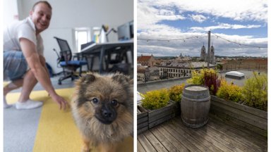 „TransferGo“ biuras – su terasa ant stogo, pritrenkiančiu vaizdu ir kasdien sutinkamais keturkojais