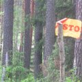 Seimui siūloma atmesti prezidentės veto dėl miškų
