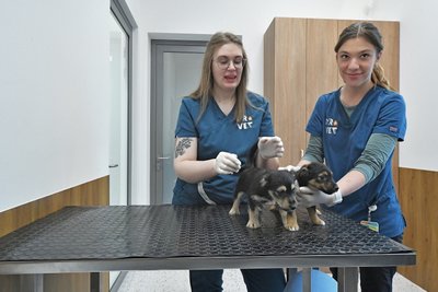 Vilniuje atidarytas didžiausias šalyje gyvūnų gydymo ir sveikatinimo kompleksas
