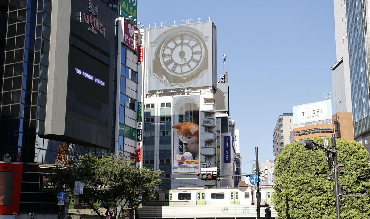 Šuns 3D reklama Tokijuje.